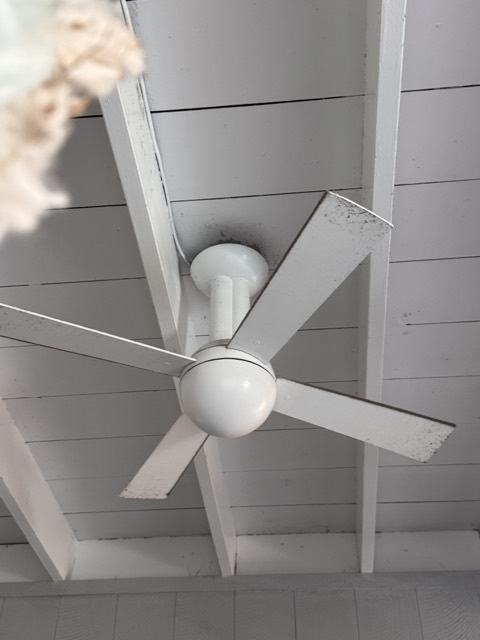Ceiling fan dusted during a deep clean